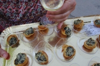 Bouch&eacute;e ap&eacute;ritive